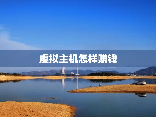 虚拟主机怎样赚钱