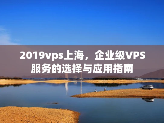 2019vps上海，企业级VPS服务的选择与应用指南