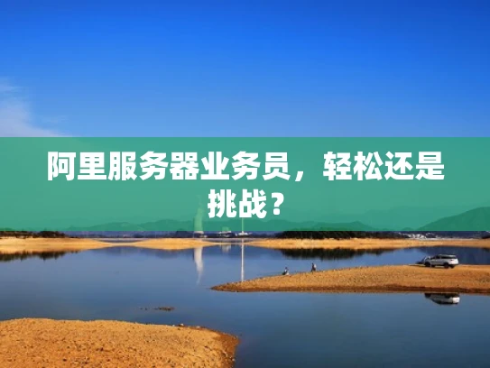 阿里服务器业务员，轻松还是挑战？