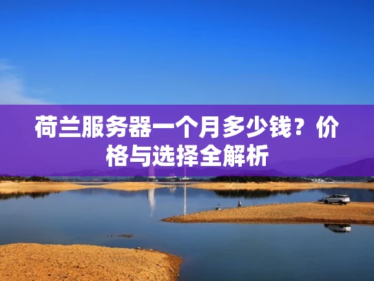 荷兰服务器一个月多少钱？价格与选择全解析