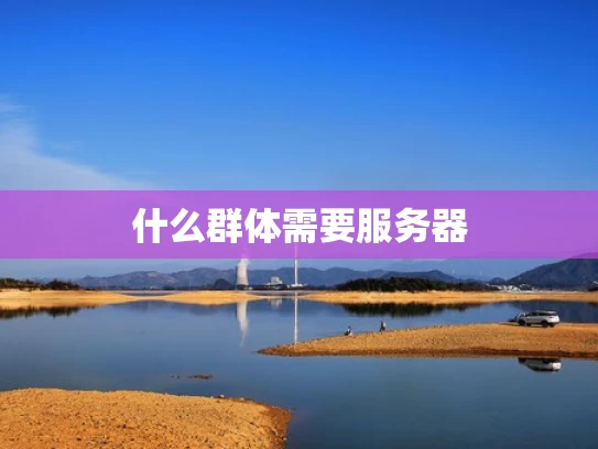 什么群体需要服务器