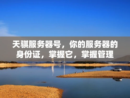天骐服务器号，你的服务器的身份证，掌握它，掌握管理