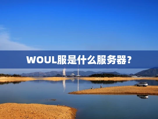 WOUL服是什么服务器？