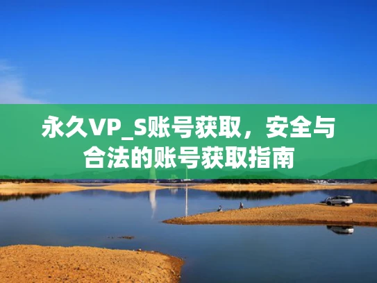 永久VP_S账号获取，安全与合法的账号获取指南
