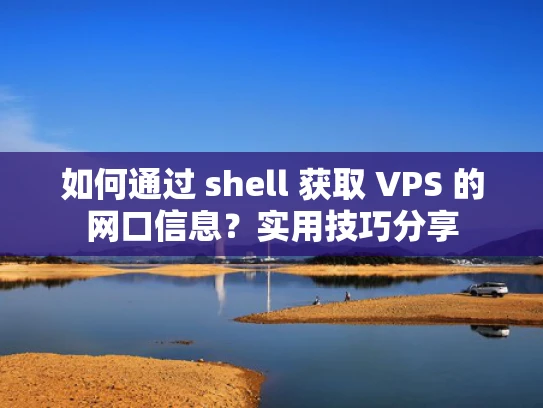 如何通过 shell 获取 VPS 的网口信息？实用技巧分享