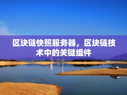 区块链快照服务器，区块链技术中的关键组件