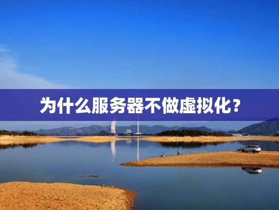 为什么服务器不做虚拟化？