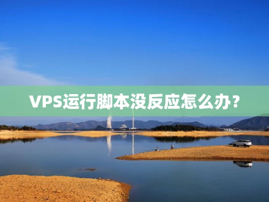 VPS运行脚本没反应怎么办？