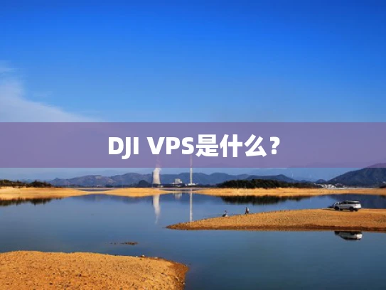 DJI VPS是什么？