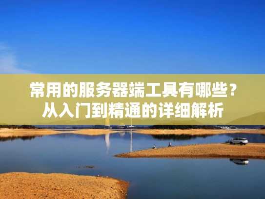 常用的服务器端工具有哪些？从入门到精通的详细解析