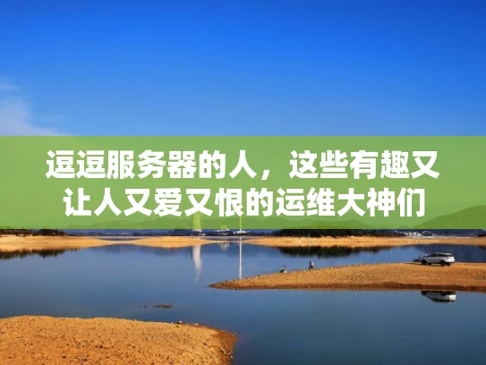 逗逗服务器的人，这些有趣又让人又爱又恨的运维大神们