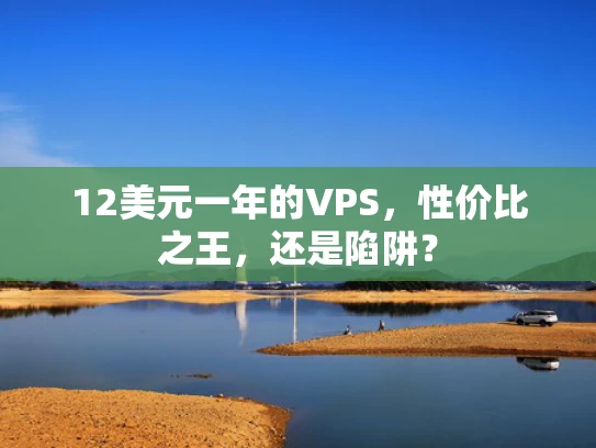 12美元一年的VPS，性价比之王，还是陷阱？