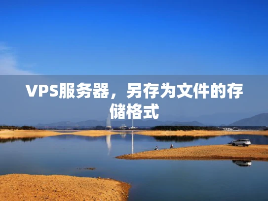 VPS服务器，另存为文件的存储格式