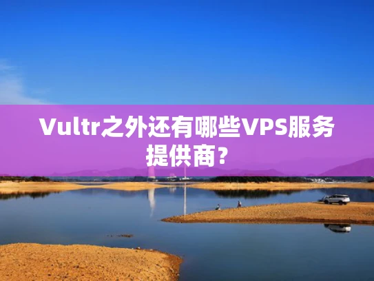 Vultr之外还有哪些VPS服务提供商？
