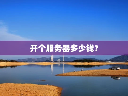 开个服务器多少钱？