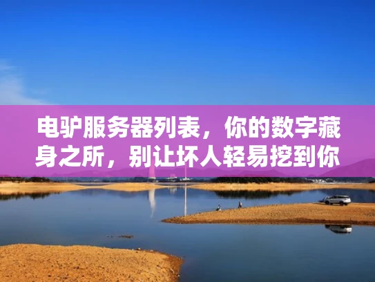 电驴服务器列表，你的数字藏身之所，别让坏人轻易挖到你