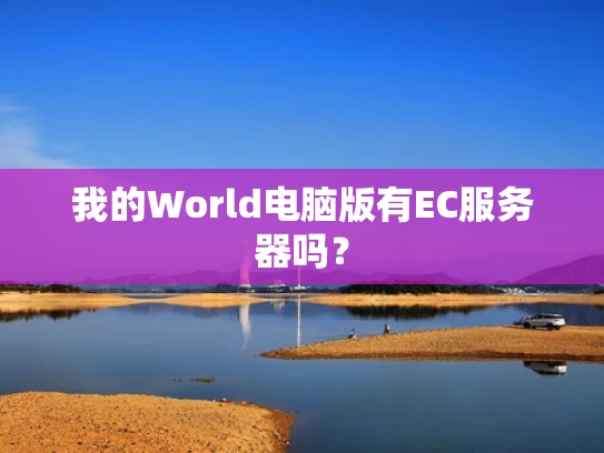 我的World电脑版有EC服务器吗？