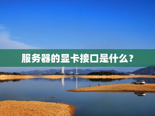 服务器的显卡接口是什么？