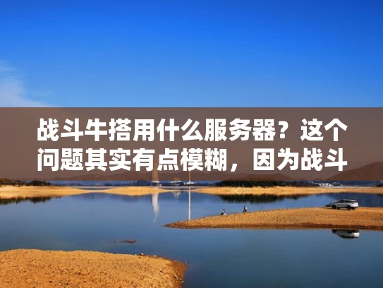 战斗牛搭用什么服务器？这个问题其实有点模糊，因为战斗牛搭可能指代不同的事物。不过，假设你指的是游戏服务器或者社区搭建，我来帮你分析一下
