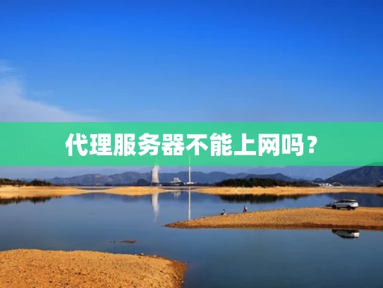 代理服务器不能上网吗？