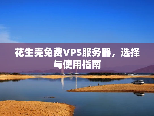 花生壳免费VPS服务器，选择与使用指南