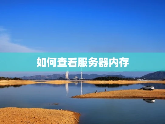 如何查看服务器内存