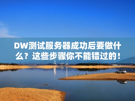 DW测试服务器成功后要做什么？这些步骤你不能错过的！