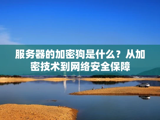 服务器的加密狗是什么？从加密技术到网络安全保障