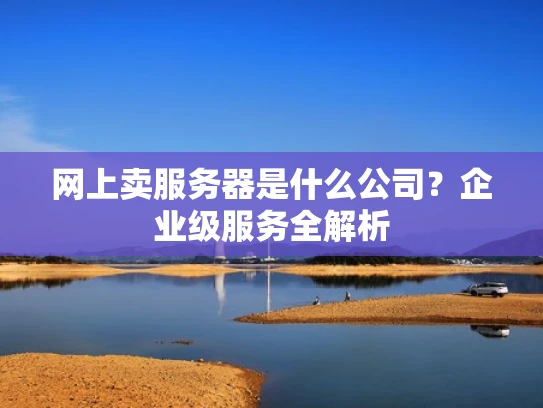 网上卖服务器是什么公司？企业级服务全解析