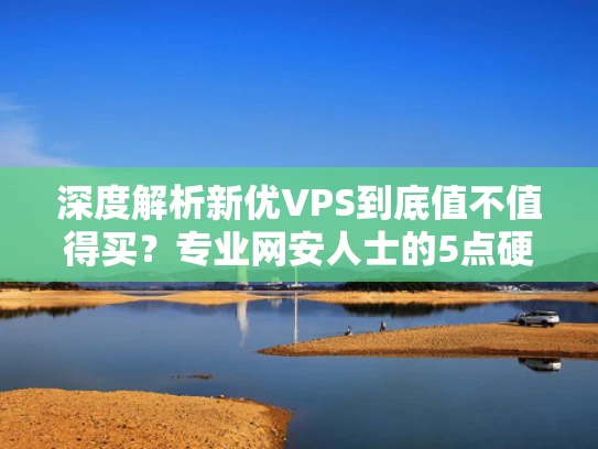 深度解析新优VPS到底值不值得买？专业网安人士的5点硬核测评