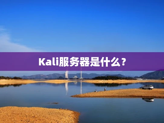 Kali服务器是什么？
