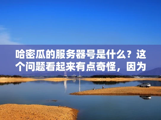 哈密瓜的服务器号是什么？这个问题看起来有点奇怪，因为哈密瓜并不是一个常见的服务器名称或服务。不过，假设你是在问某个特定平台、工具或服务中的服务器号，那么我会先解释一下什么是服务器号，以及如何获取它