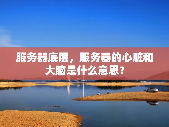服务器底层，服务器的心脏和大脑是什么意思？