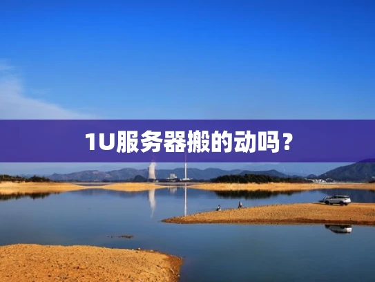 1U服务器搬的动吗？