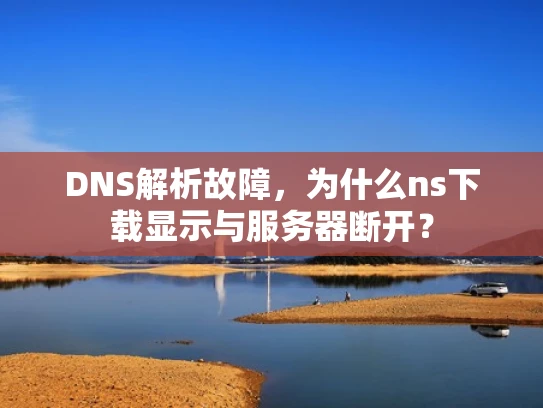 DNS解析故障，为什么ns下载显示与服务器断开？
