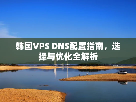 韩国VPS DNS配置指南，选择与优化全解析