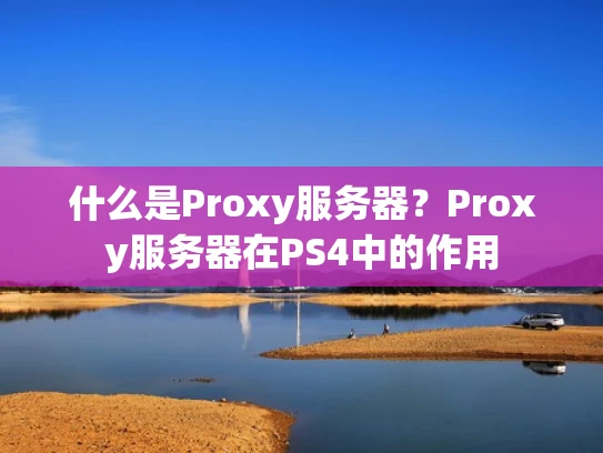 什么是Proxy服务器？Proxy服务器在PS4中的作用