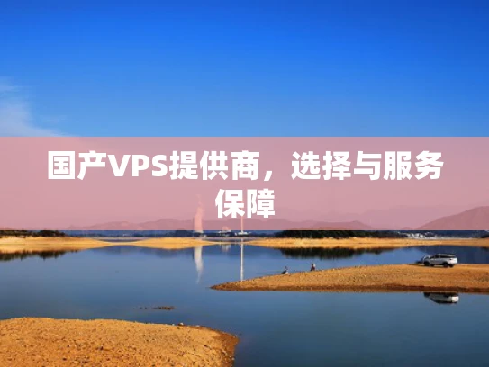 国产VPS提供商，选择与服务保障