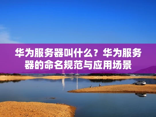 华为服务器叫什么？华为服务器的命名规范与应用场景