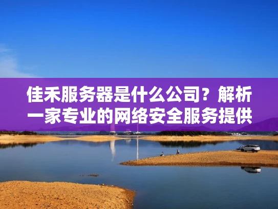 佳禾服务器是什么公司？解析一家专业的网络安全服务提供商