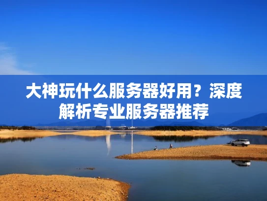 大神玩什么服务器好用？深度解析专业服务器推荐