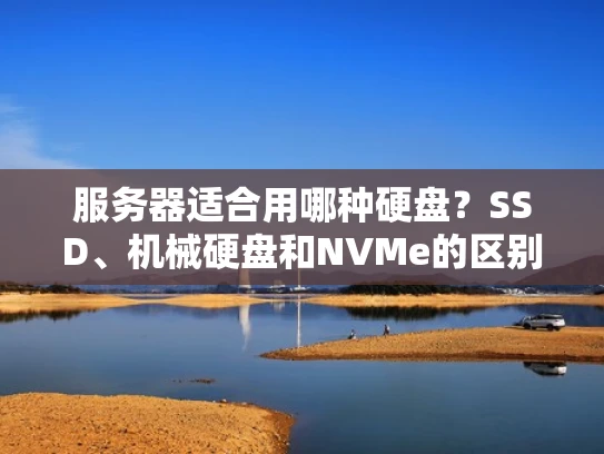 服务器适合用哪种硬盘？SSD、机械硬盘和NVMe的区别与选择建议