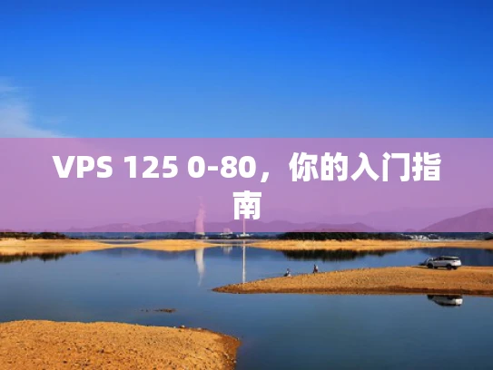 VPS 125 0-80，你的入门指南