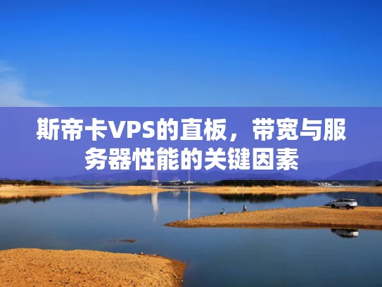 斯帝卡VPS的直板，带宽与服务器性能的关键因素