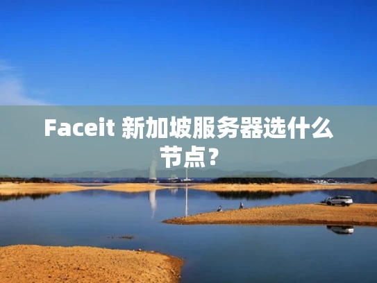 Faceit 新加坡服务器选什么节点？