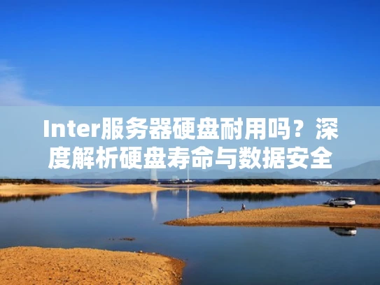 Inter服务器硬盘耐用吗？深度解析硬盘寿命与数据安全