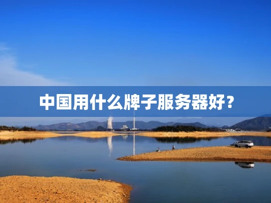 中国用什么牌子服务器好？