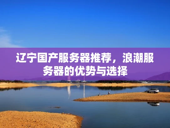 辽宁国产服务器推荐，浪潮服务器的优势与选择