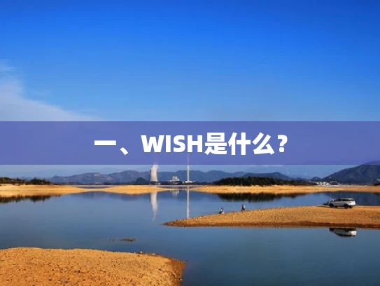 一、WISH是什么？