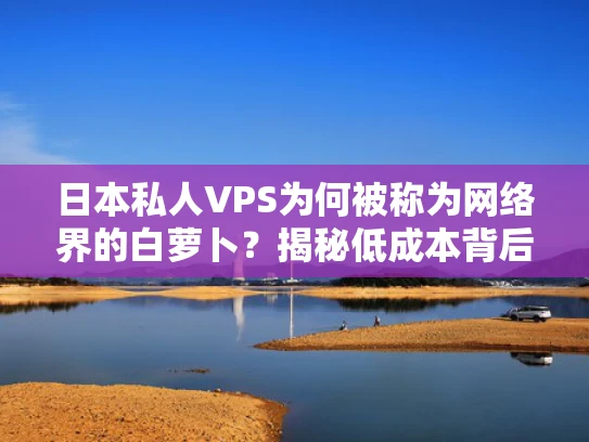日本私人VPS为何被称为网络界的白萝卜？揭秘低成本背后的技术门道